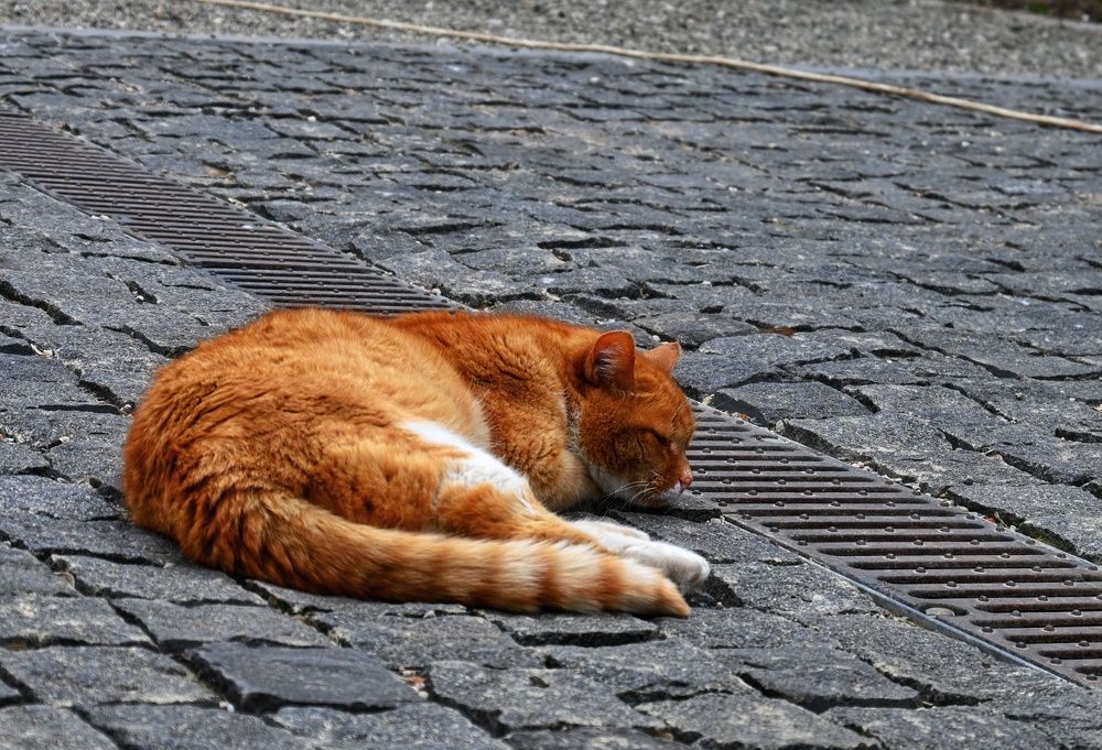 Photograph by Даниил Пузаков