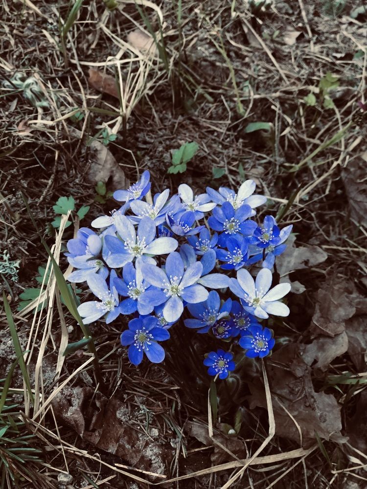 Photograph by Светлана Долганова