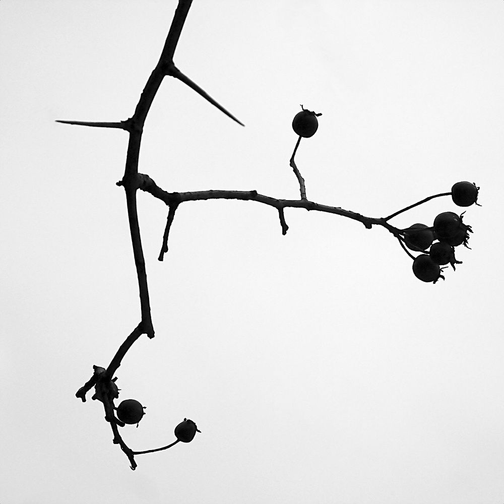 Photograph by Евгений Беленков