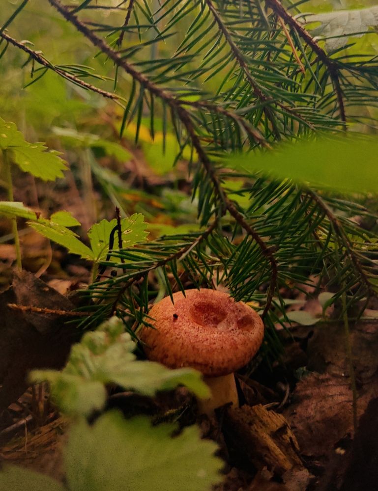 Photograph by Ирина Молодых