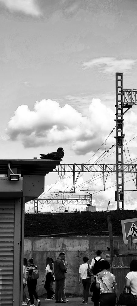 Photograph by Elza