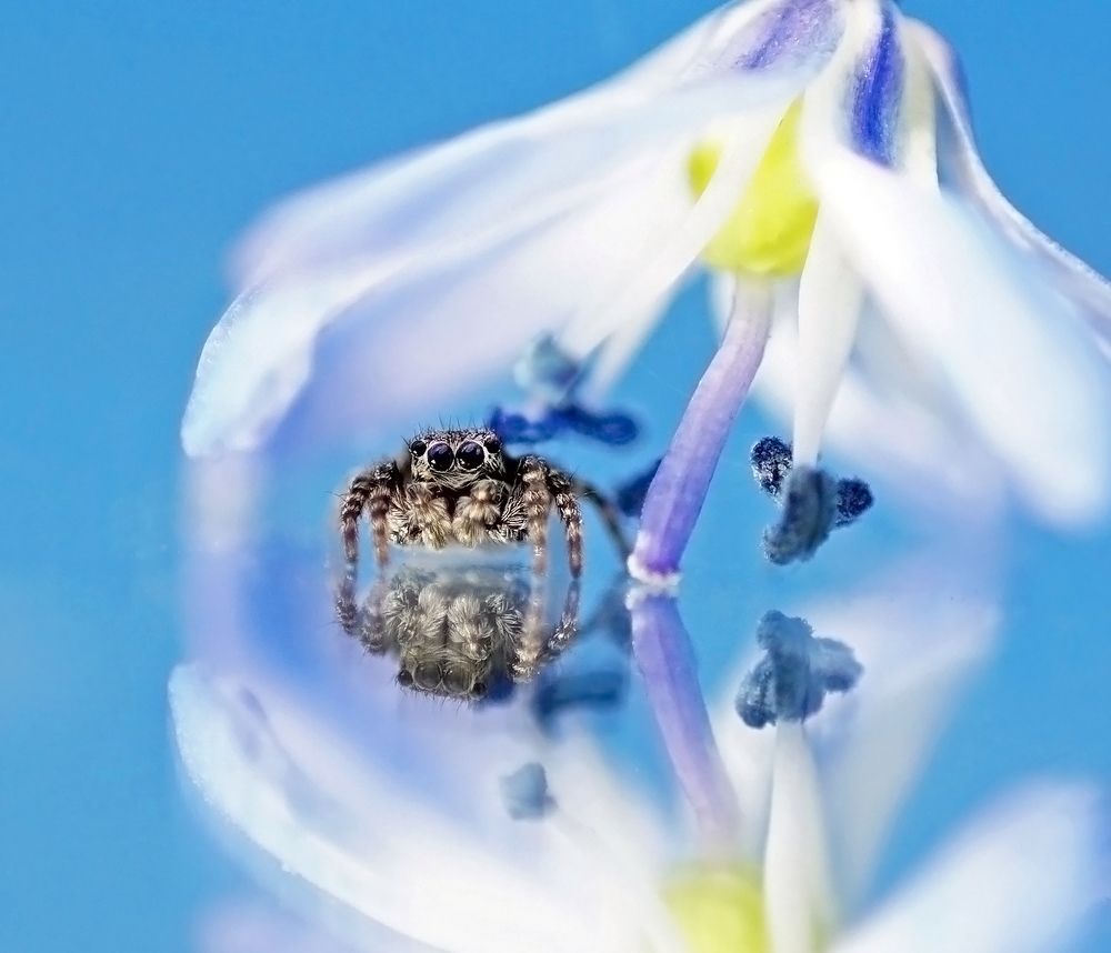 Photograph by Наталья Соколова