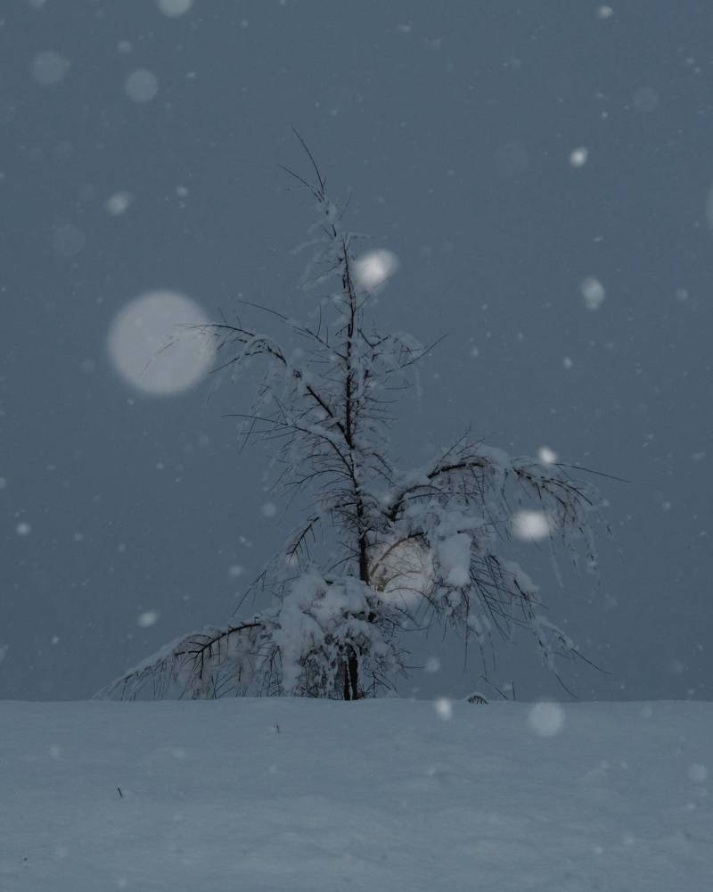 Photograph by Ольга Шибяева