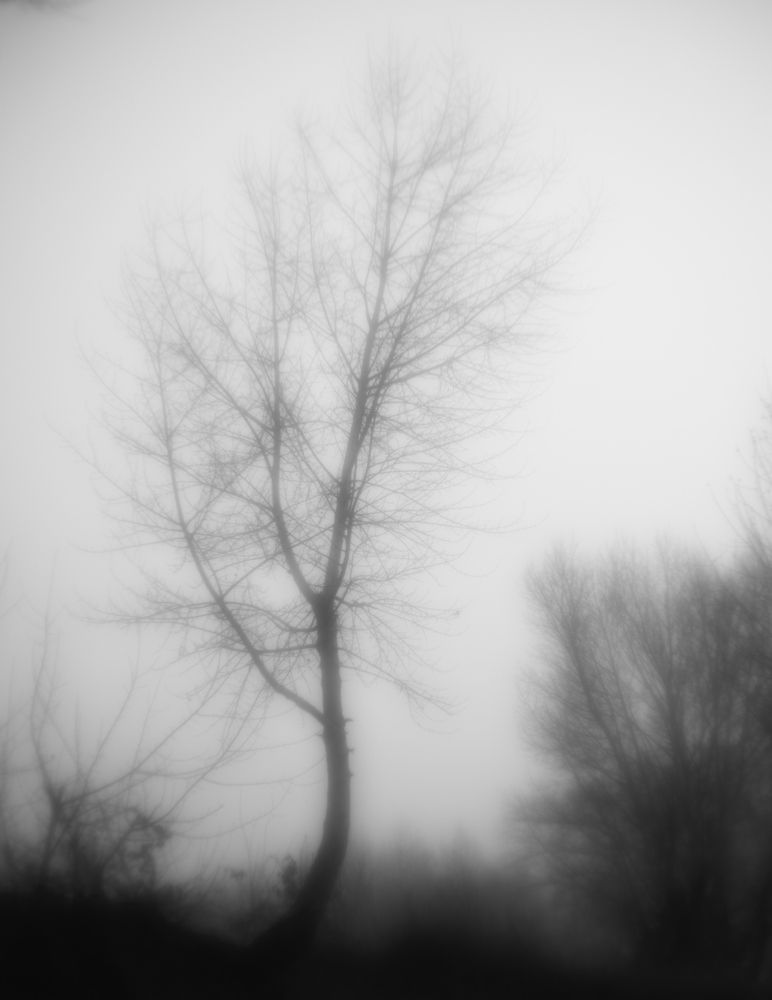 Photograph by Ольга Шибяева