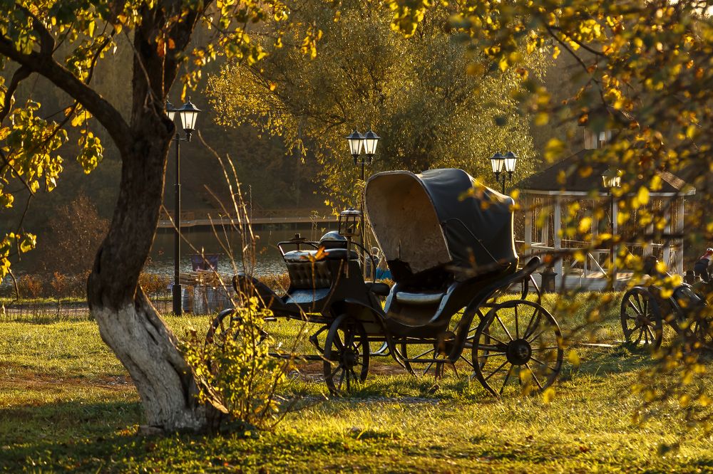 Photograph by Наталья Колеватова