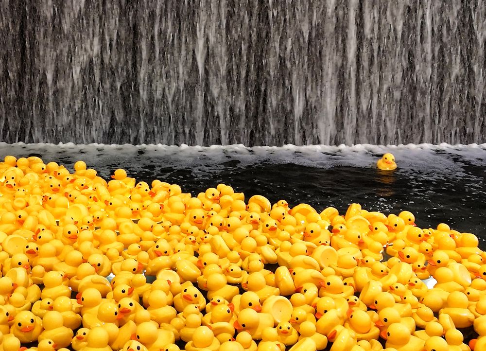 Photograph by Михаил Янкин