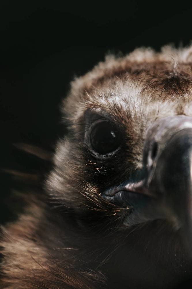 Photograph by Татьяна Степанова