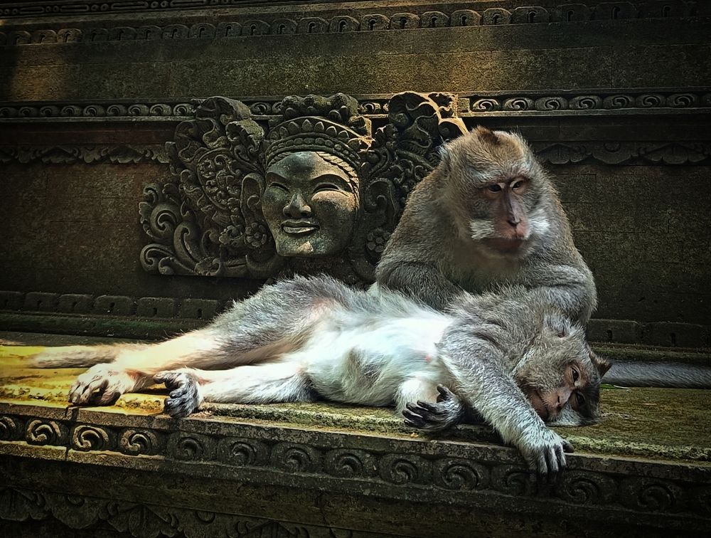 Photograph by Кирилл Леднев