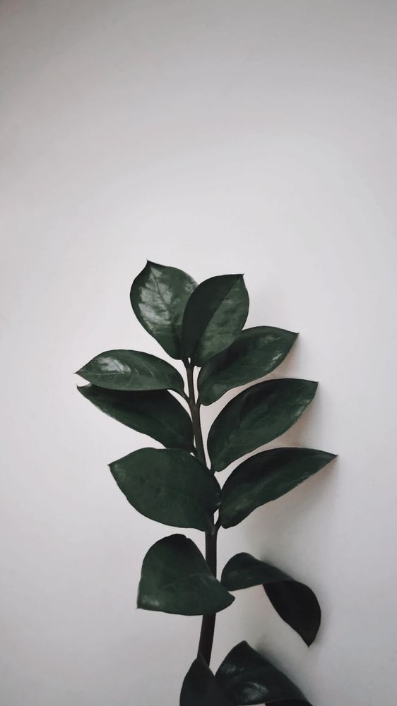 Фотография автора Анна Морозова