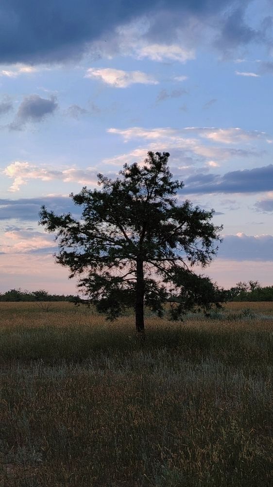 Фотография автора Анна Морозова