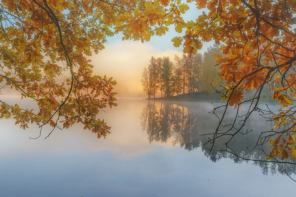 Фотография автора Анатолий Зверев