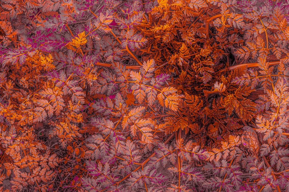 Photograph by Fernando Blanco Armendariz