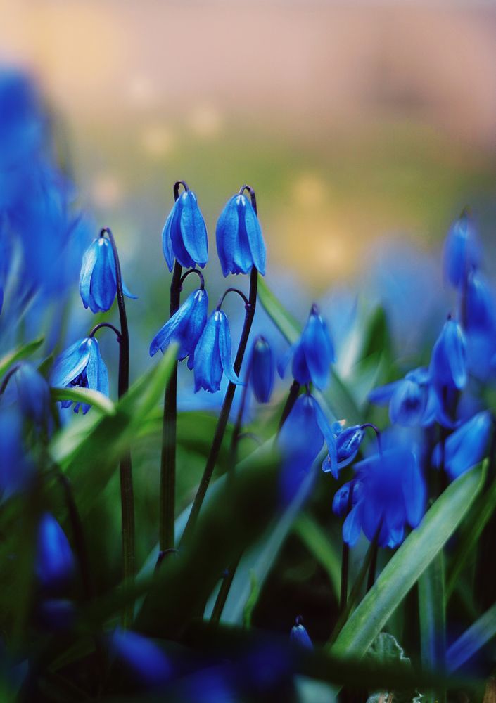 Photograph by Алена Полетаева