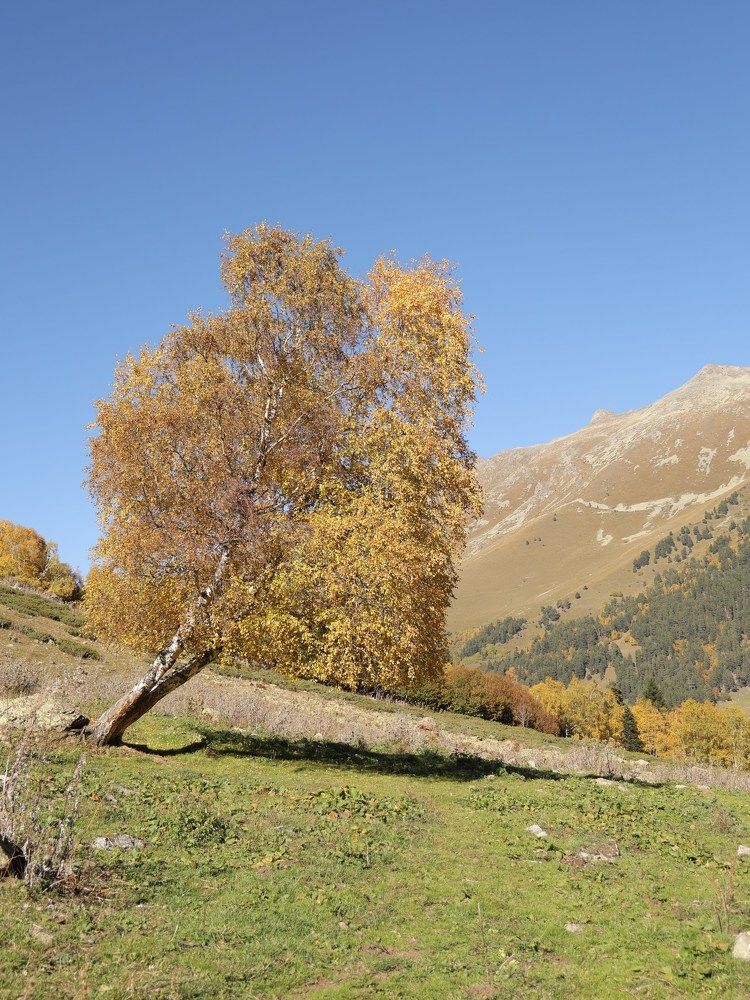 Фотография автора Ильдар Салимов