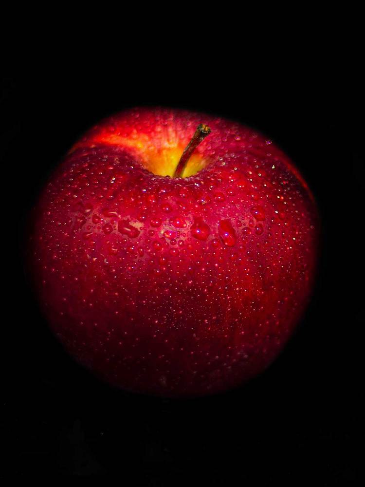 Фотография автора Mohsen Raeiszadeh