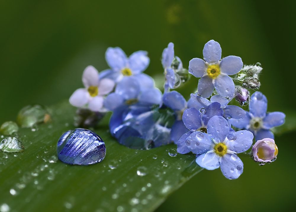 Photograph by Natalia Bolotenkova
