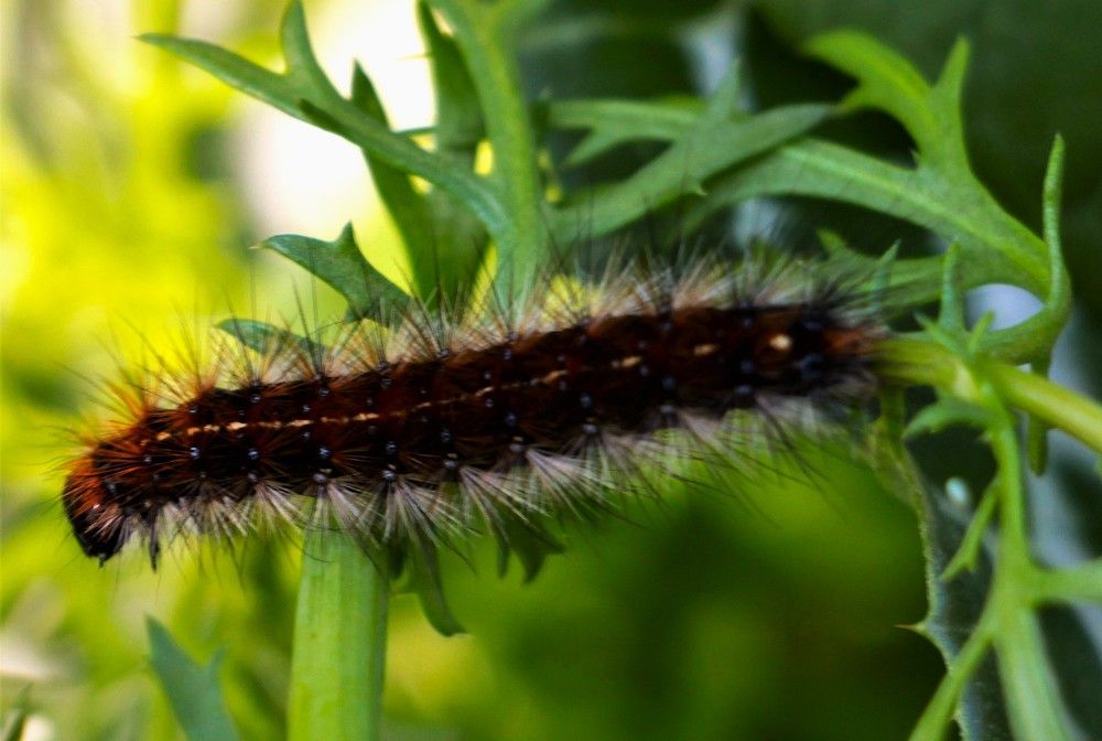 Photograph by Людмила Бутова