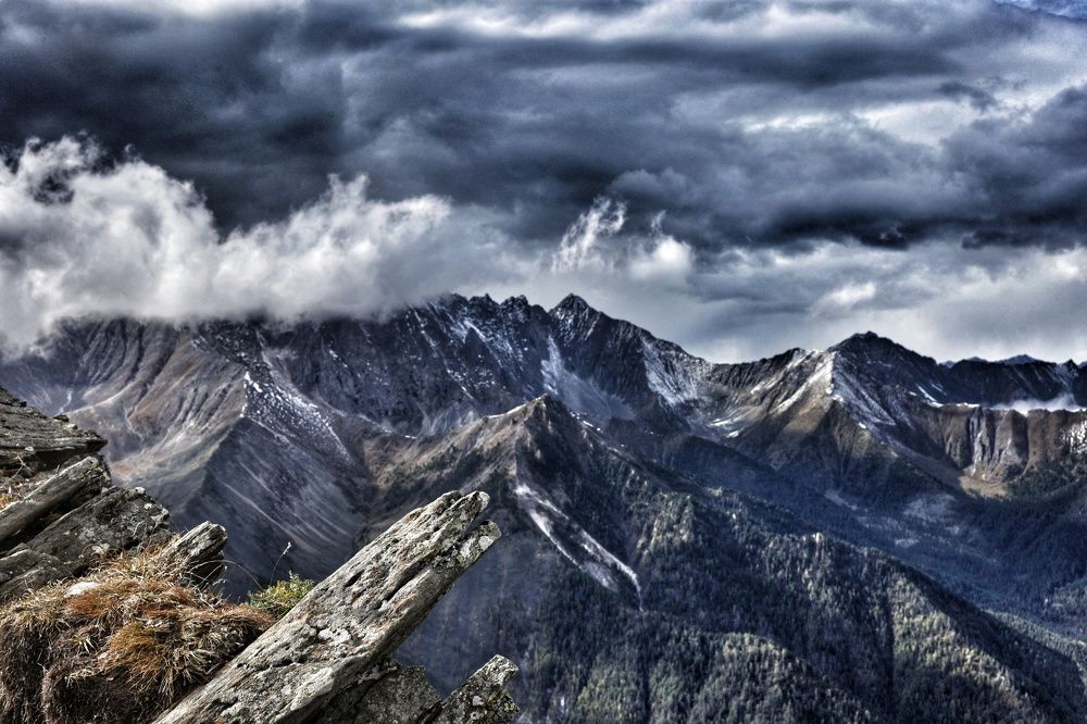 Photograph by Елена Шишкина