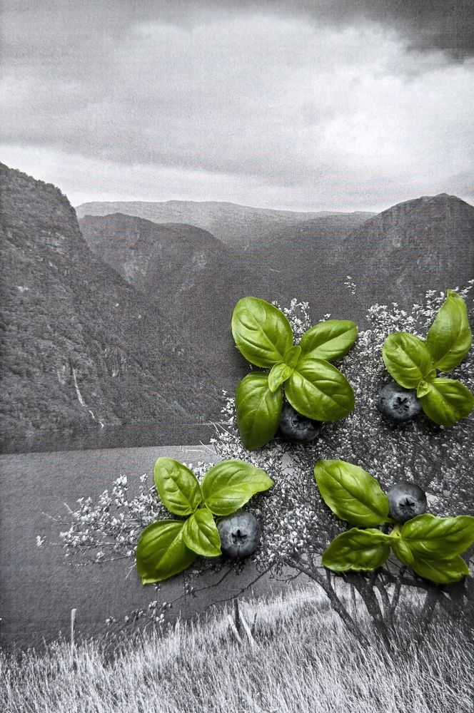 Photograph by Ольга Кудина