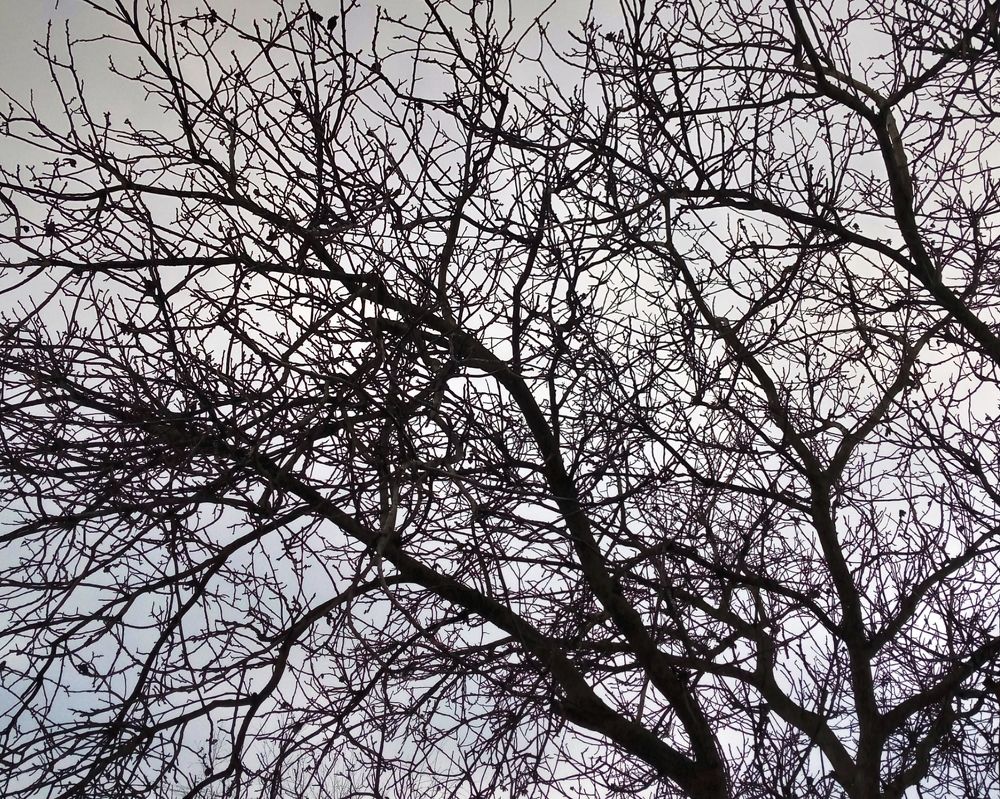 Photograph by Татьяна Шевченко