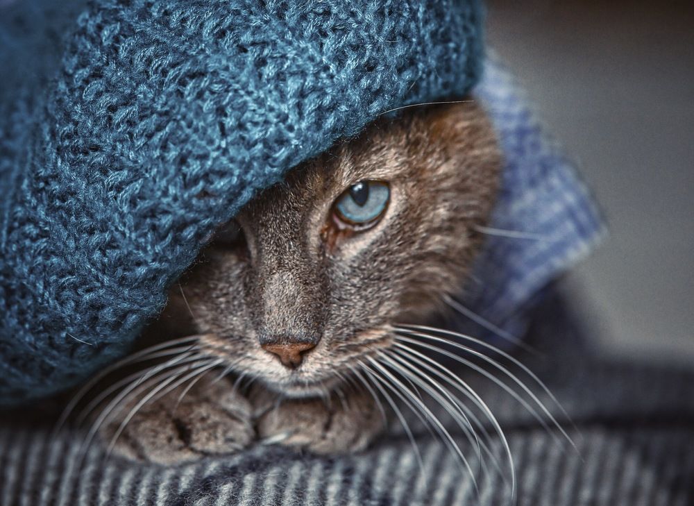 Photograph by Ольга Кудина