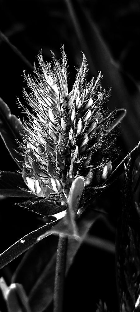 Photograph by Nаtaliia Zolotova
