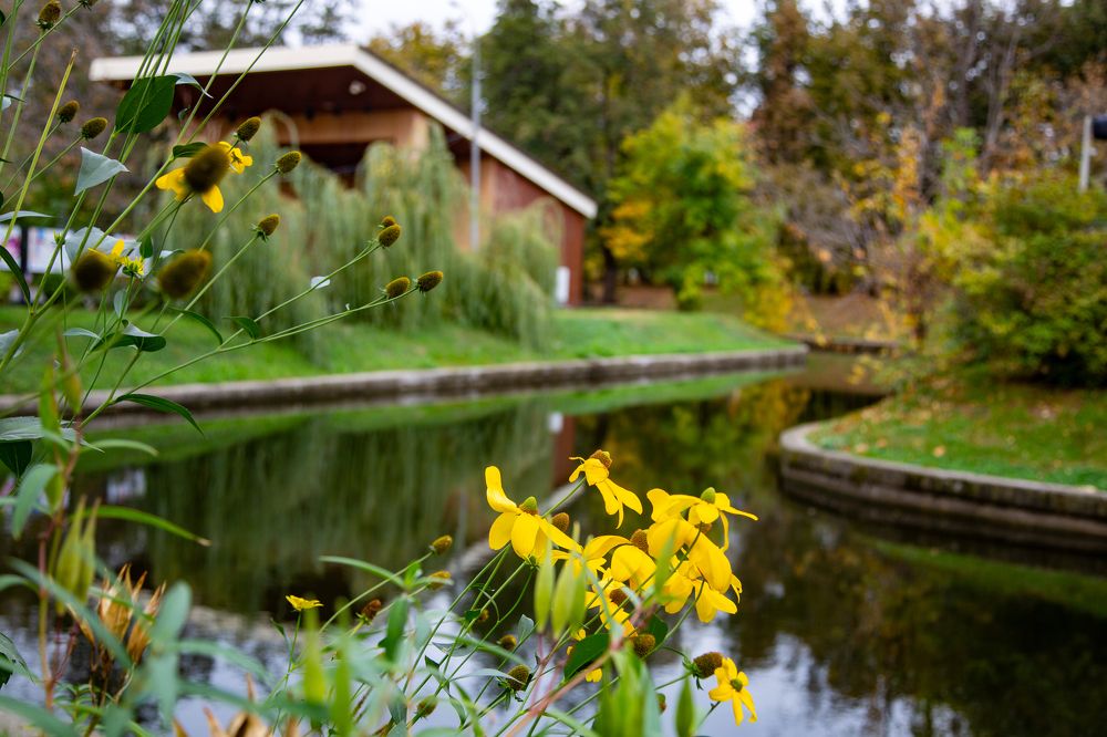 Октябрьские дни