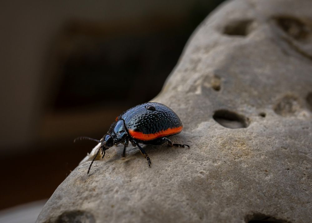 Photograph by Анна Анатольевна