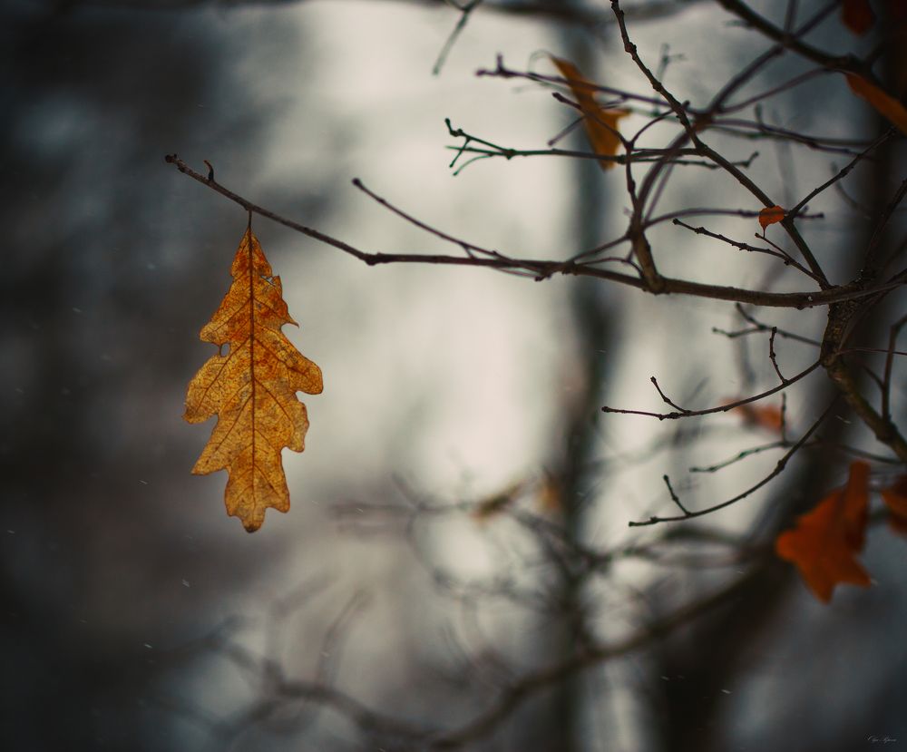 Photograph by Ольга Попова