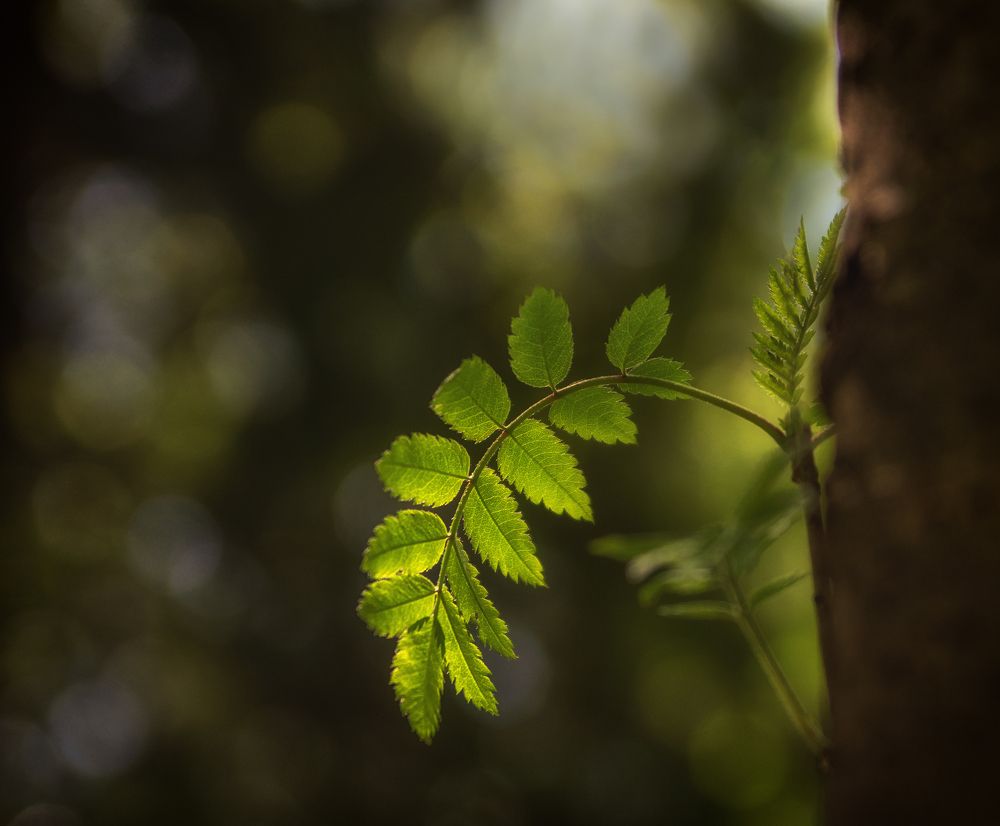 Photograph by Ольга Попова