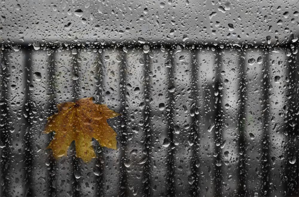 Photograph by Ольга Попова