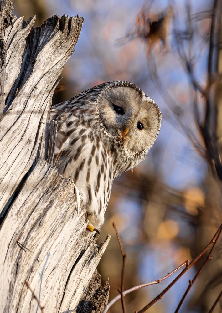 Photograph by Белов Александр