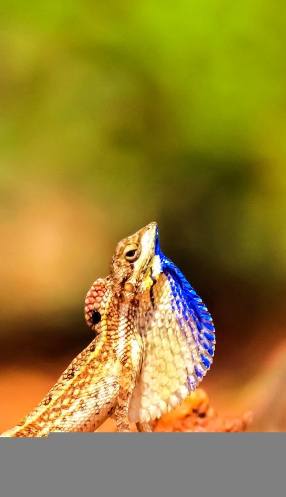 Photograph by Mathew Nishanth A