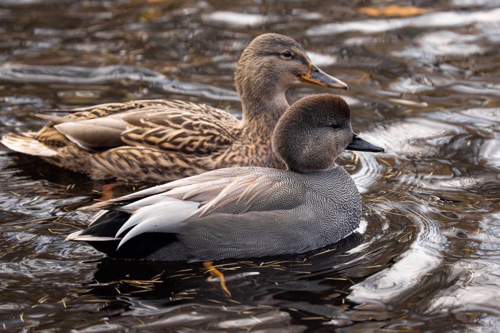 Photograph by Белов Александр