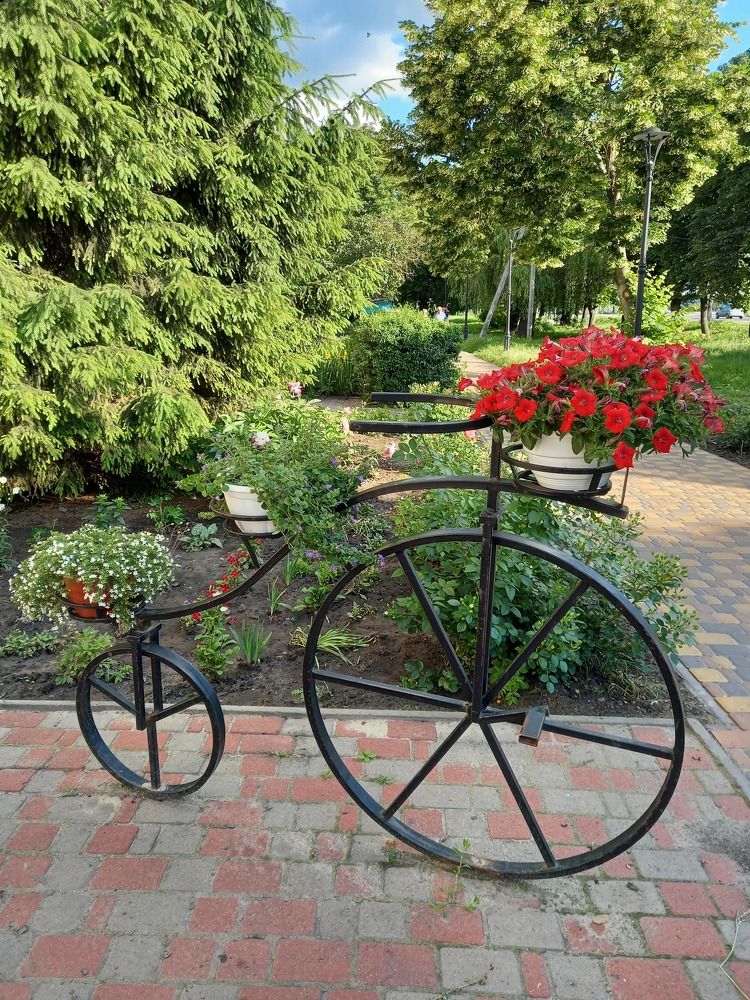 Фотография автора Oksana Podgorodetska