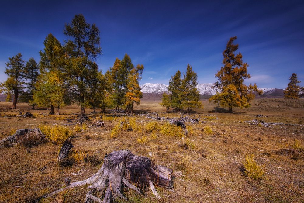 Photograph by Чичкин Валерий