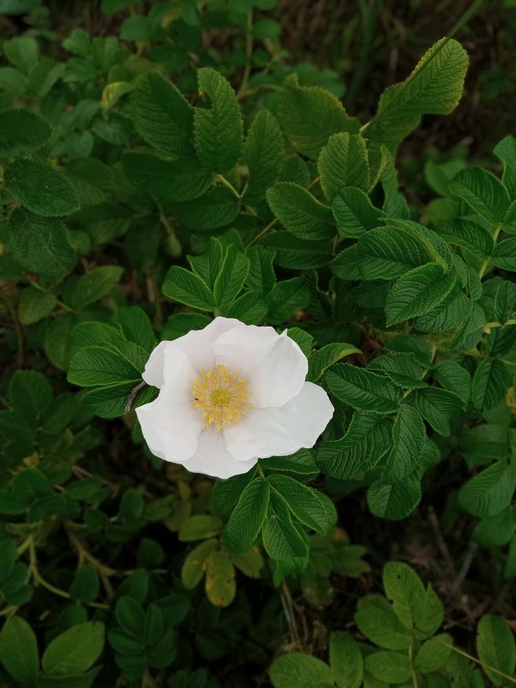 Photograph by Мария Раззувайло