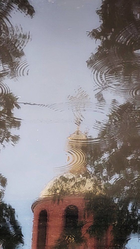 Photograph by Svitlana Usatenko