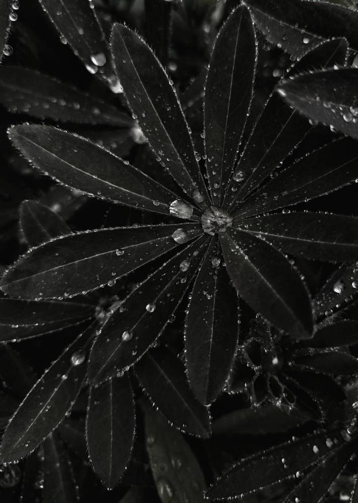 Фотография автора Ольга Кунакова