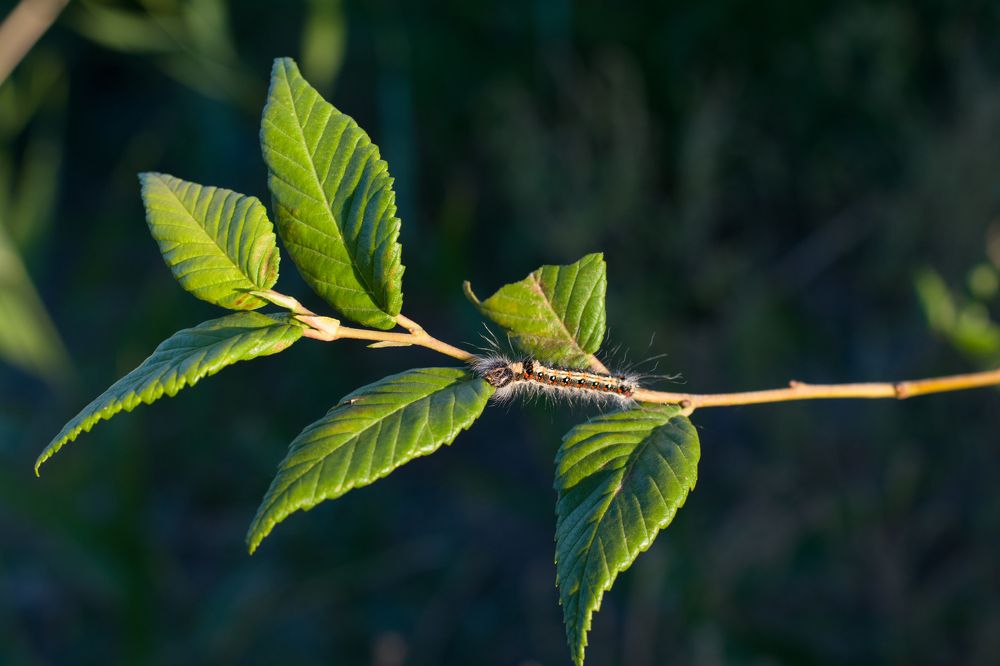 Photograph by Олег Алексеев