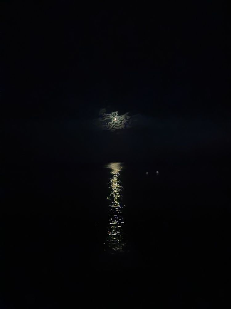 Photograph by Елизавета Зыкова