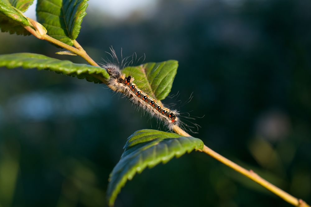 Photograph by Олег Алексеев