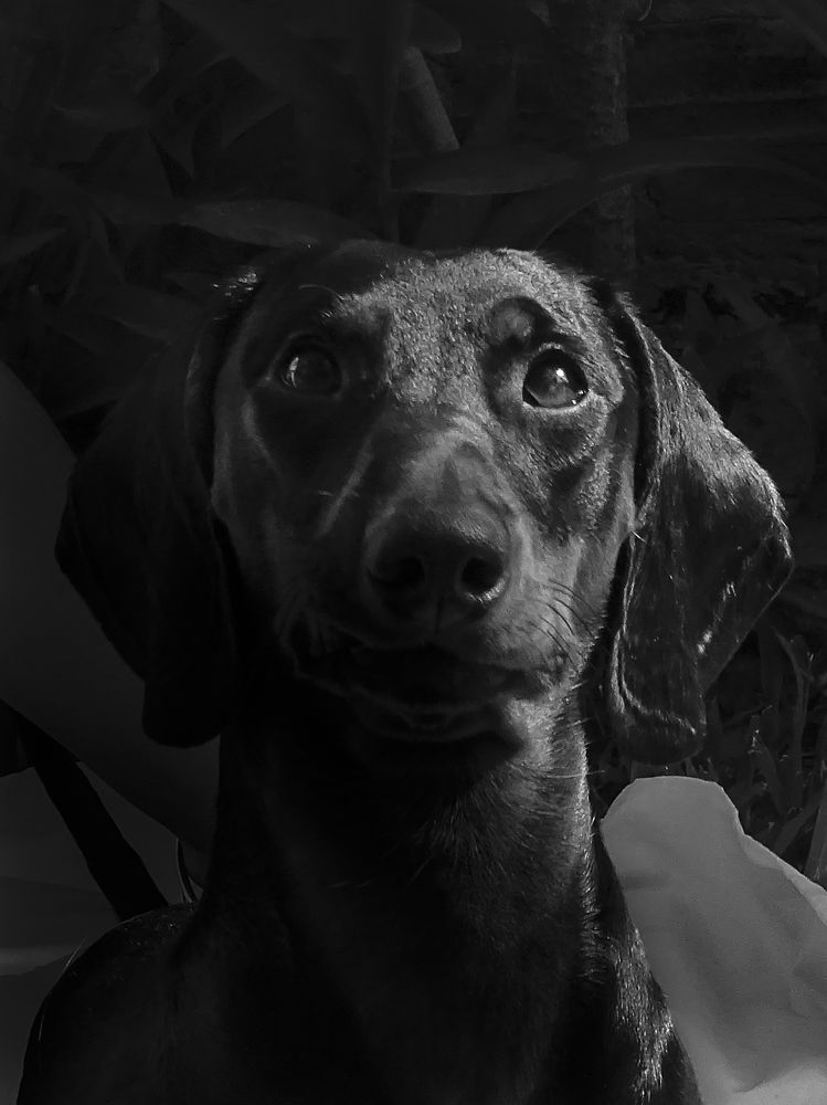 Photograph by María Laura Giorda