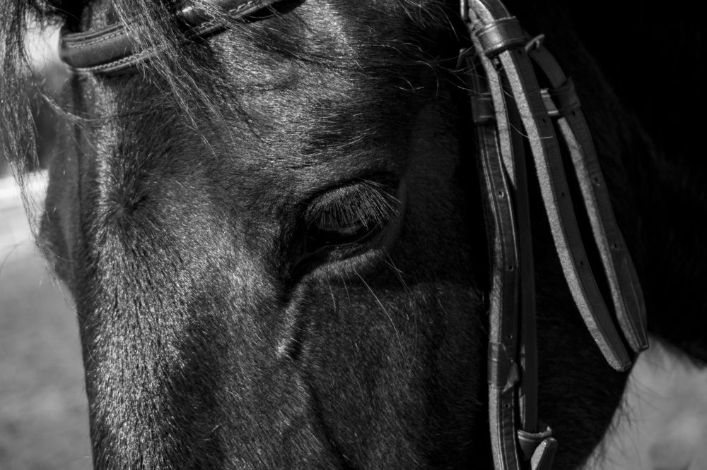 Photograph by María Laura Giorda