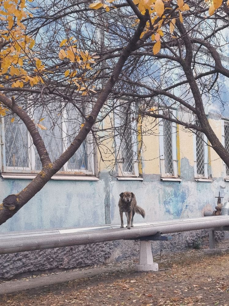 Photograph by Александра