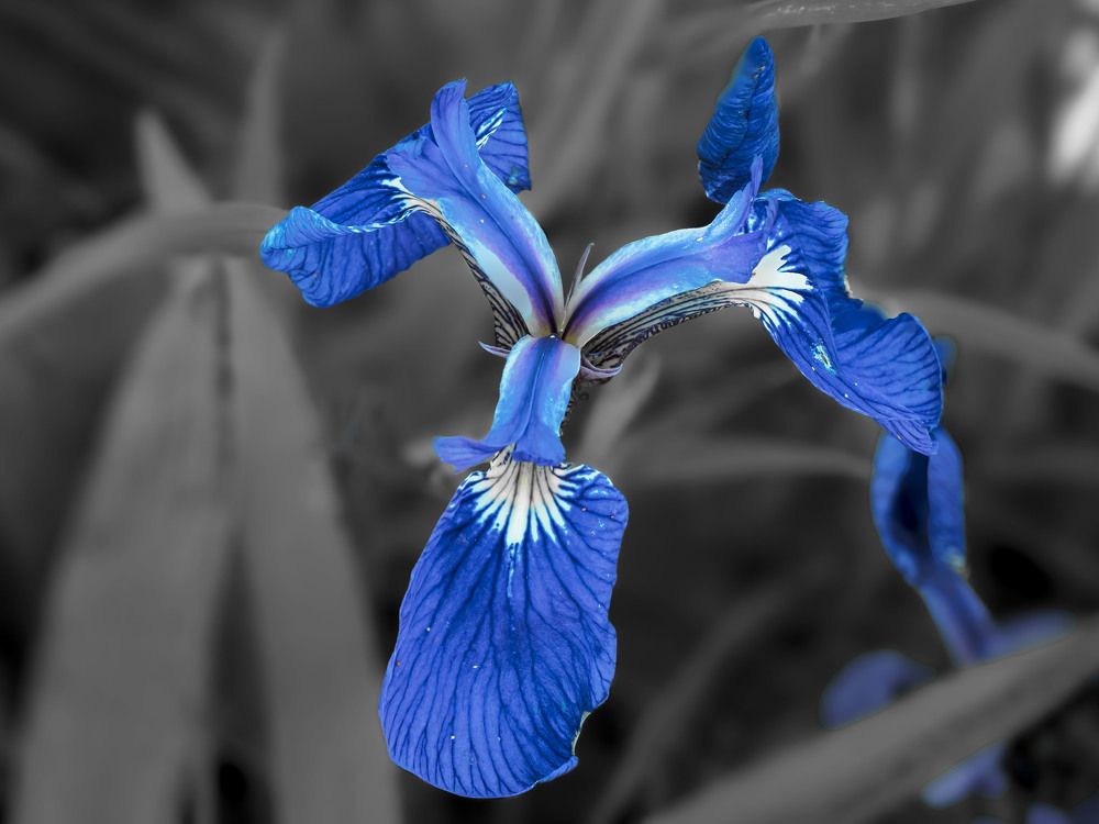 Photograph by Борис Полтавец