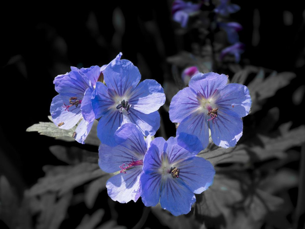 Photograph by Борис Полтавец