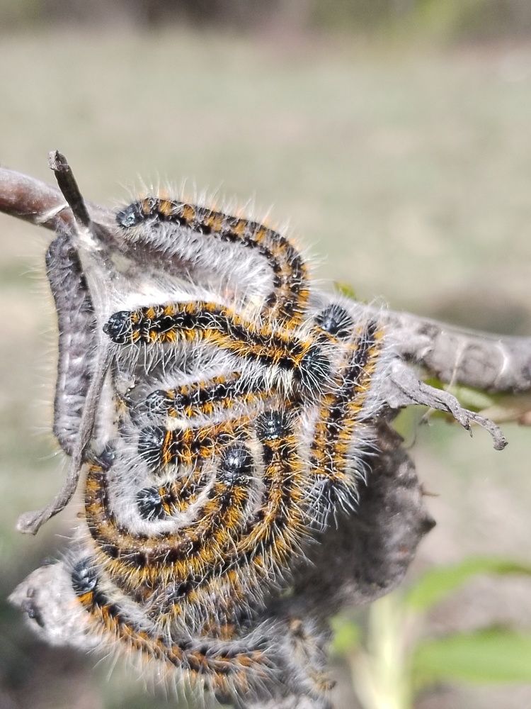 Photograph by Олеся Купча