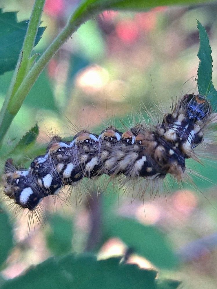 Photograph by Олеся Купча