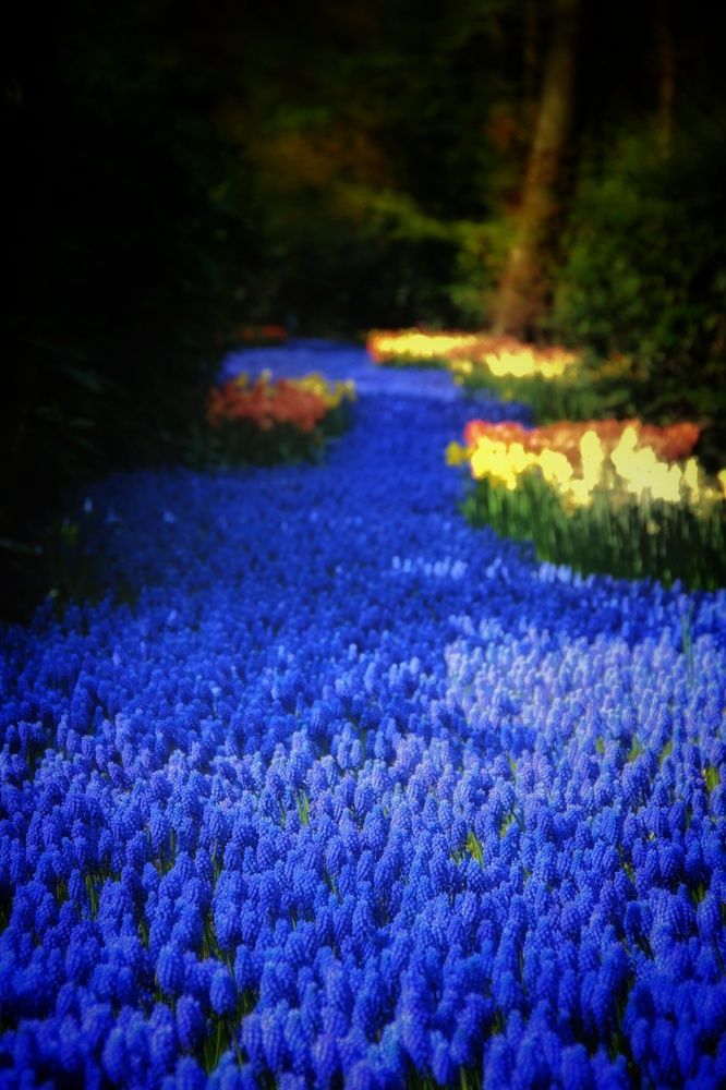 Photograph by Наталия Мельникова